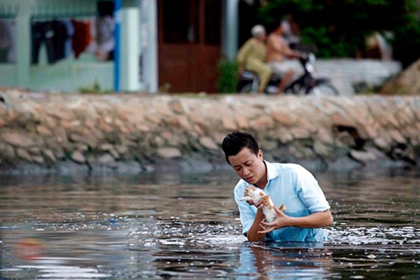 Có nhiều người thường bị chê là công tử bột, vậy đó là gì? - Ảnh 2.