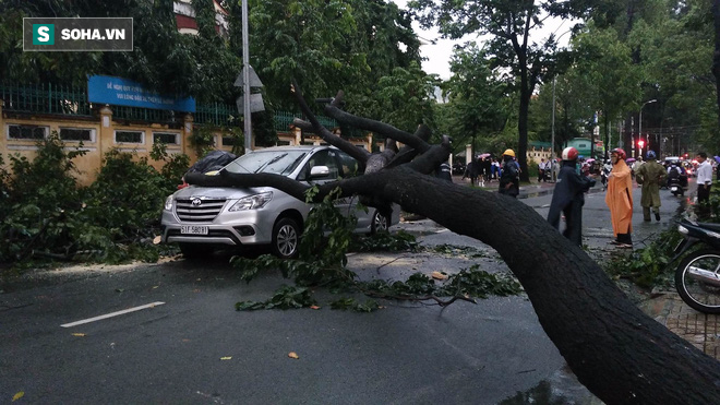 Sài Gòn mưa trắng trời ngày thứ 3 liên tiếp, cây đổ đè ô tô - Ảnh 1.