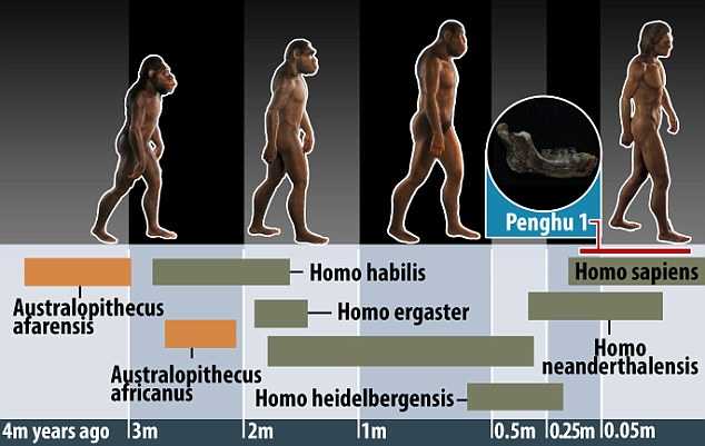 Phần hàm dưới khác biệt rõ ràng so với người Homo erectus ở miền bắc Trung Quốc và Java. Nó có thể là đặc điểm đại diện cho một chủng người chưa được biết đến, CNN dẫn lời chuyên gia Yousuke Kaifu nói, khẳng định dù đây chỉ là một mẩu hóa thạch nhỏ, nhưng ý nghĩa của nó rất lớn.