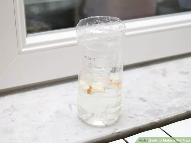 Tự chế bẫy ruồi đ&aacute;nh đ&acirc;u tr&uacute;ng đ&oacute; chỉ từ 1 chiếc chai nhựa! - Ảnh 9.