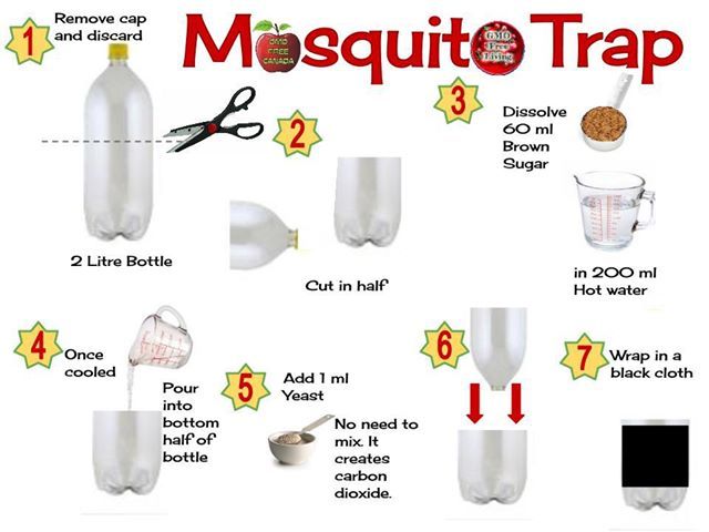 Mẹo tạo bẫy diệt muỗi vô cùng đơn giản từ vỏ chai bỏ đi - Ảnh 4.
