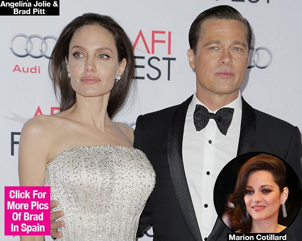 Angelina Jolie ly hôn: Nguyên nhân thuộc về Brad Pitt? - Ảnh 3.