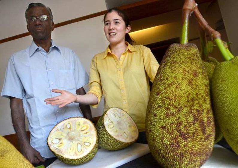 Mít non: Thực phẩm thay thế hoàn hảo cho thịt lợn trong tương lai - Ảnh 2. Mít non: Thực phẩm thay thế hoàn hảo cho thịt lợn trong tương lai - Ảnh 2.