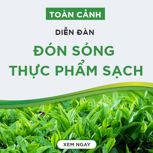 Doanh nhân Lương Hoàng Anh nói về món nợ đau đớn của lòng tham - Ảnh 4.