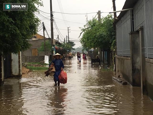 Lũ lên nhanh, người dân Quảng Bình leo lên mái nhà tránh nạn - Ảnh 7.