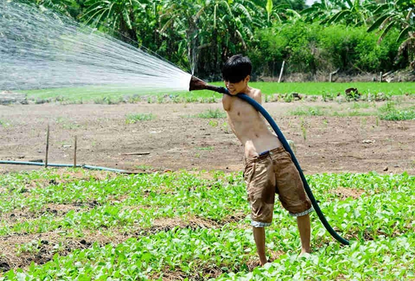 Lời đáp trả của chàng bán hàng rong đối với vị khách nhà giàu - Ảnh 3.