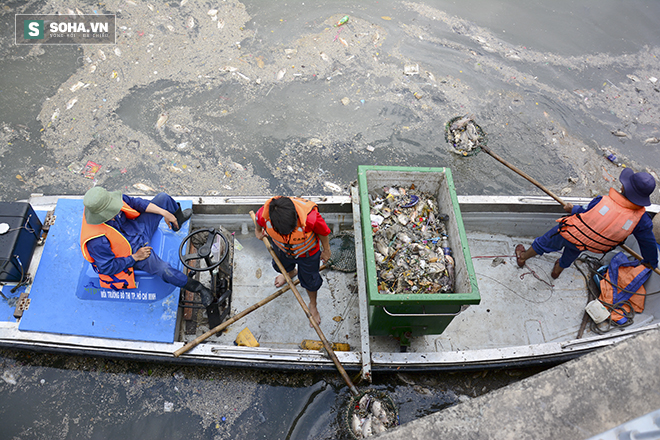 Ảnh thu gom gần 70 tấn cá chết ở kênh Nhiêu Lộc - Thị Nghè - Ảnh 3.