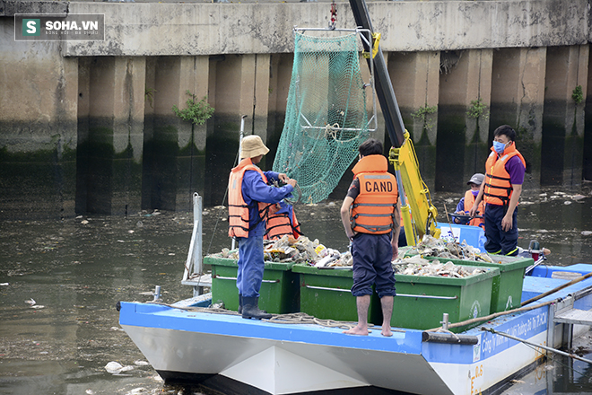 Ảnh thu gom gần 70 tấn cá chết ở kênh Nhiêu Lộc - Thị Nghè - Ảnh 5.