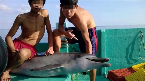 Hình ảnh nhóm thanh niên bắt và giết cá heo khiến dân mạng Việt bức xúc - Ảnh 2.