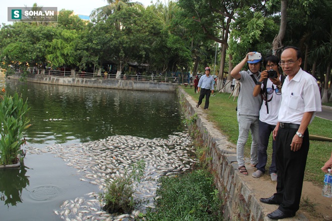 Cá chết nổi trắng hồ công viên ở Đà Nẵng - Ảnh 6.