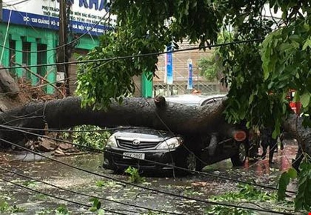 Cảnh tượng khủng khiếp: Ô tô bị cây đè, xe máy bị thổi bay do bão số 1 - Ảnh 2.