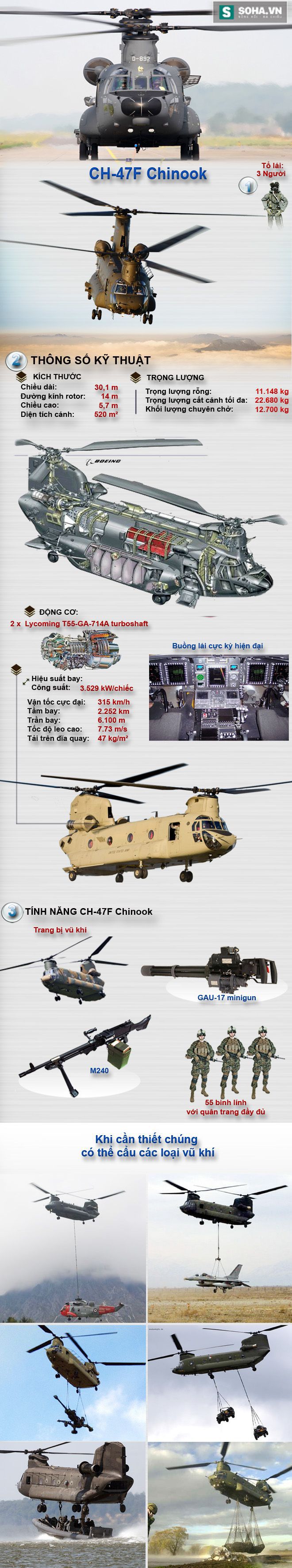 Việt Nam sẽ mua CH-47F cho Bộ đội Đổ bộ đường không? - Ảnh 1.