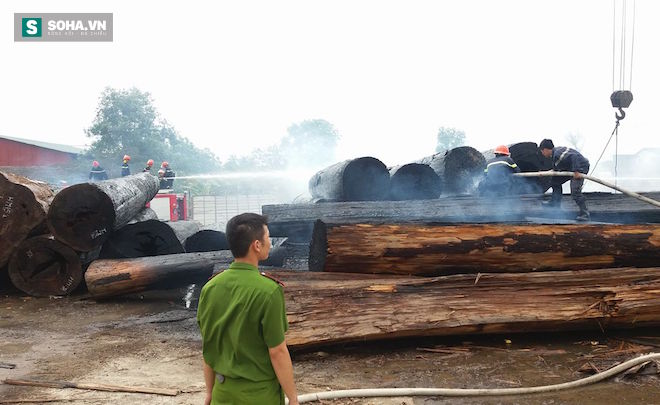 Hàng trăm cây gỗ samu quý bất ngờ cháy thành than ở bãi tập kết - Ảnh 6.