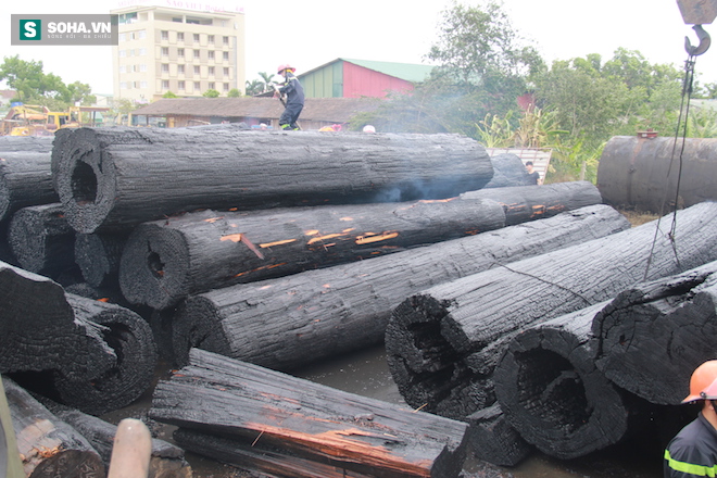 Hàng trăm cây gỗ samu quý bất ngờ cháy thành than ở bãi tập kết - Ảnh 9.