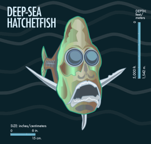 Những quái vật biển thống lĩnh vùng biển sâu nhất hành tinh - Ảnh 9.