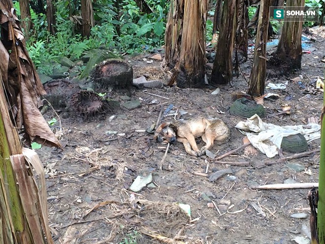 Thảm án giết 4 người ở Lào Cai: “Con chó cũng không tha” - Ảnh 2.