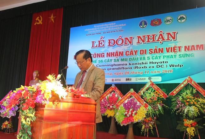 61 cây khổng lồ ở Nghệ An được công nhận là cây di sản Việt Nam - Ảnh 1.
