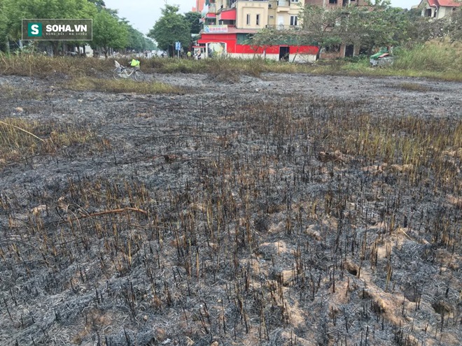 Rộ tin đồn nam thanh niên tỏ tình bạn gái làm cháy bãi cỏ khu đô thị Việt Hưng - Ảnh 3.
