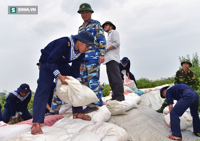 Quảng Ninh: Gần 5000 bộ đội, dân quân tự vệ giúp dân chống bão - Ảnh 2.