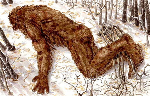 Phát hiện dấu vết của Bigfoot sau trận động đất khủng khiếp? - Ảnh 2.