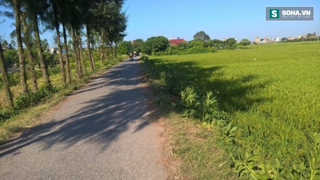 Nam thanh niên chết trên ruộng lúa đánh điện: Cha già đau đớn - Ảnh 2.