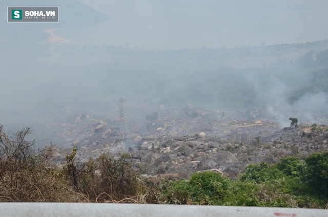 Hình ảnh khu vực rừng Nam Hải Vân sau vụ cháy - Ảnh 1.