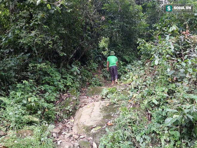 Thảm án ở Lào Cai: Hàng trăm CA trèo đèo lội suối truy bắt nghi can - Ảnh 1.
