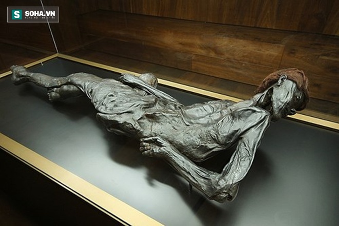 Bí ẩn Xác ướp hiến tế kỳ lạ hơn 2300 tuổi ở Đan Mạch - Ảnh 3.