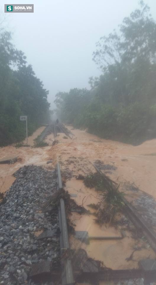 96 người nước ngoài mắc kẹt ở Quảng Bình vì mưa lũ lớn - Ảnh 2.