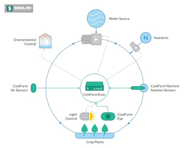 Cool Farm: Hệ thống áp dụng công nghệ cao cho nông nghiệp - Ảnh 1.
