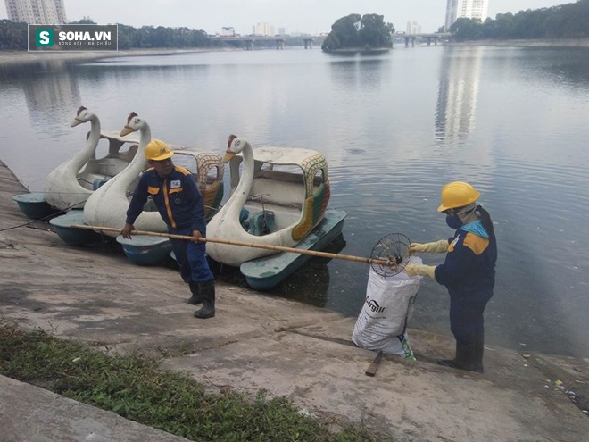 Hà Nội: Bao cao su nổi trắng hồ Linh Đàm - Ảnh 3.