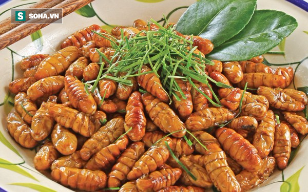 Loại thực phẩm rẻ tiền ở Việt Nam được Trung y coi là thần dược bổ thận tráng dương - Ảnh 5.