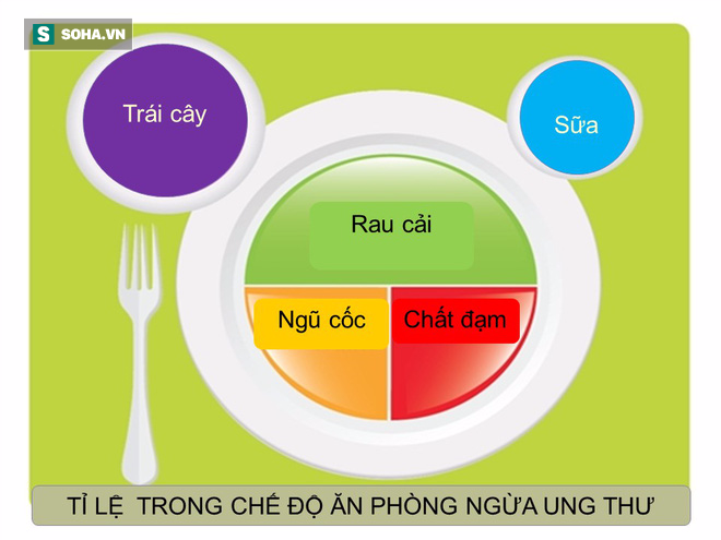 Tài liệu hướng dẫn cách ăn uống phòng chống ung thư [BS Trần Thị Anh Tường, BV Ung bướu TP.HCM] - Ảnh 21.