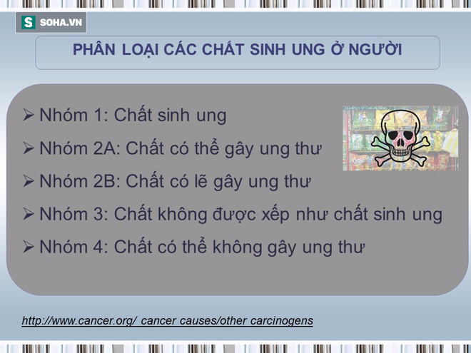 Tài liệu hướng dẫn cách ăn uống phòng chống ung thư [BS Trần Thị Anh Tường, BV Ung bướu TP.HCM] - Ảnh 8.