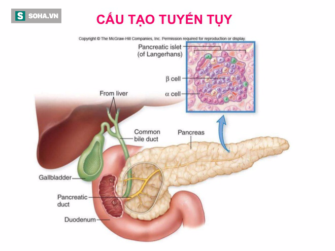 Căn bệnh nguy hiểm 100 người mắc thì 80 người đã ở giai đoạn cuối nhưng ít ai quan tâm - Ảnh 1.