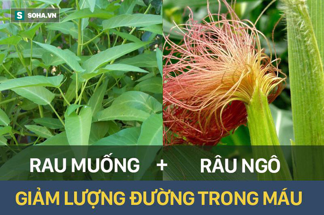 Rau muống kết hợp với thực phẩm này sẽ trở thành thuốc quý chữa 3 bệnh nguy hiểm - Ảnh 4.