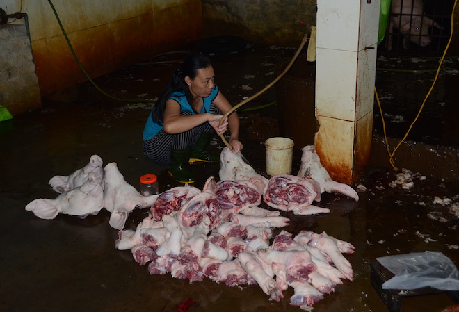 Nghệ An: Phát hiện lợn ở lò mổ lớn nhất Bắc Trung Bộ có chất cấm - Ảnh 3.