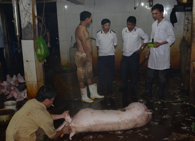 Nghệ An: Phát hiện lợn ở lò mổ lớn nhất Bắc Trung Bộ có chất cấm - Ảnh 1.