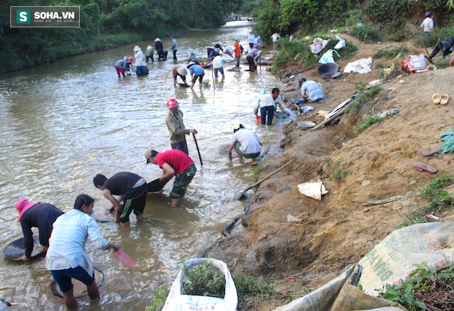 Hàng trăm người xới tung nhiều quả đồi ở Nghệ An - Ảnh 15.