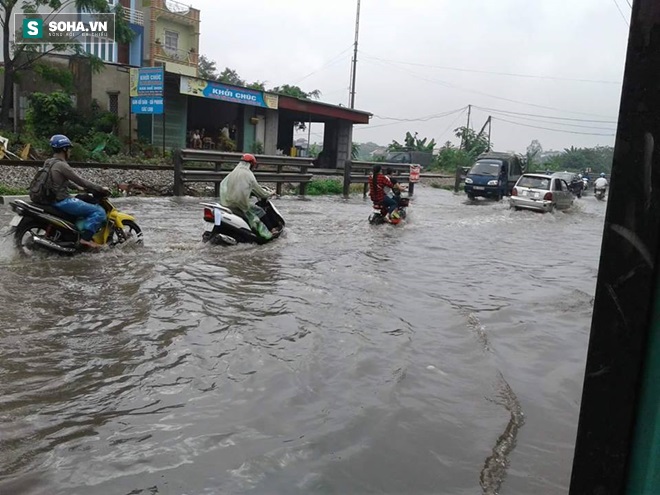 Hà Nội: Sau trận mưa lớn, người dân ra đường bắt cá - Ảnh 2.