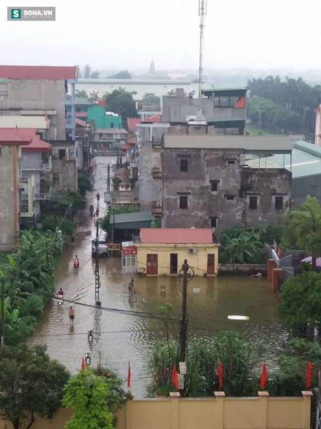 Hà Nội: Sau trận mưa lớn, người dân ra đường bắt cá - Ảnh 3.