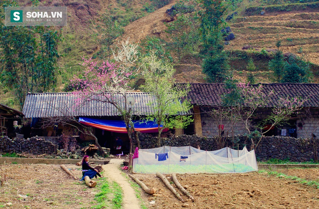 Hãy xách ba lô ngược Hà Giang, nhưng đừng chỉ nghĩ rằng Cao nguyên đá mùa này mới đẹp - Ảnh 3.