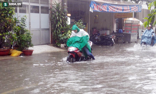 Mưa suốt ngày, nhiều tuyến đường Sài Gòn thành sông - Ảnh 10.