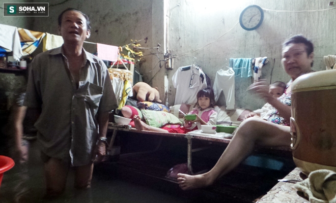 Sài Gòn ngập: 4 người ngủ 3 ngày trên 1 chiếc ghế, gà trốn trên mặt bàn - Ảnh 6.