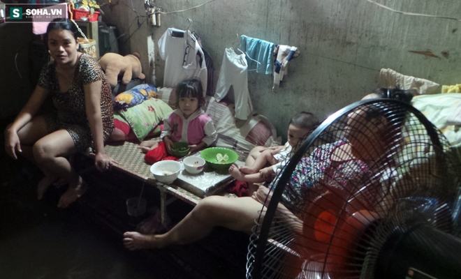 Sài Gòn ngập: 4 người ngủ 3 ngày trên 1 chiếc ghế, gà trốn trên mặt bàn - Ảnh 7.