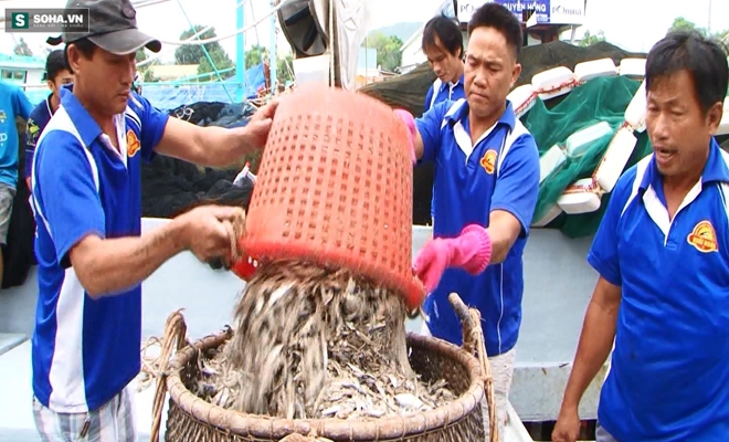 Chuyên gia nghi có đơn vị đứng sau T&A Ogilvy trong vụ nước mắm nhiễm arsen - Ảnh 1.