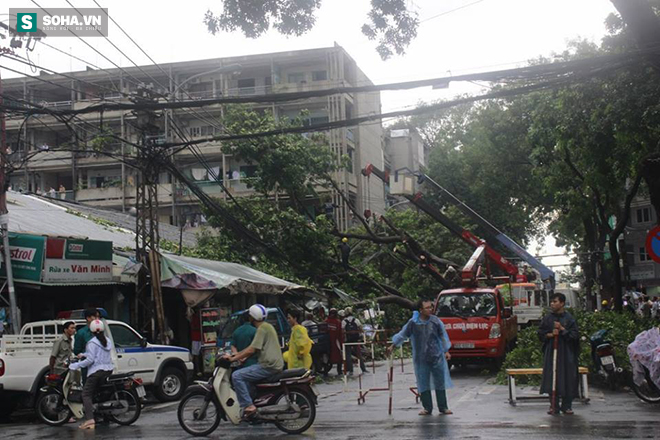 Người dân hốt hoảng với cây to bật gốc đổ giữa đường phố Sài Gòn - Ảnh 2.