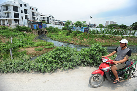 Khu đô thị hạng sang “ba không”, xe cấp cứu nửa đêm không dám vào - Ảnh 6.