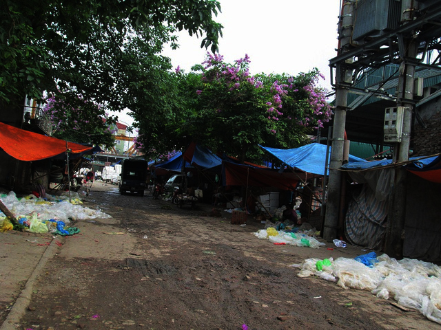 Những phận đàn bà thị thành (1): Một bà “dở hơi”, chỉ chơi với chó - Ảnh 1.