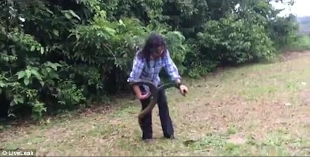 Cô gái liều lĩnh dùng tay không khống chế con rắn dữ dài 2m - Ảnh 2.